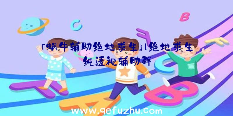 「蜗牛辅助绝地求生」|绝地求生纯透视辅助群